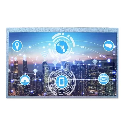 quality-10.1-Inch-Military-LCD-Display-Panel-LVDS-TFT-Display-1024_600-Pixels-factory