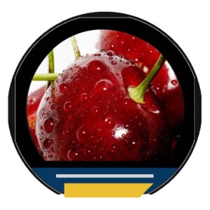 Circular-IPS-TFT-Display