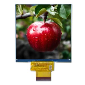 module LCD