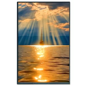 10.1-display-module