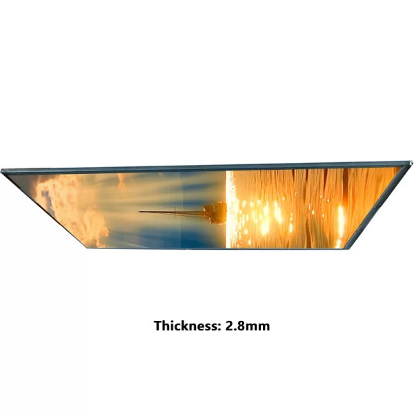 10.1-display-module