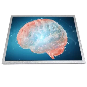 15-inch-high-brightness-LCD