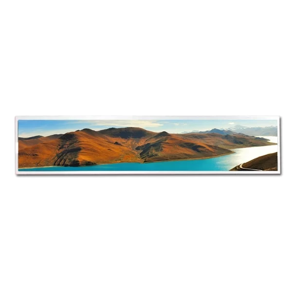 19-inch-TFT-Panel