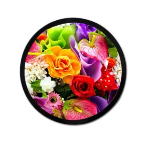 Display rotondo-TFT