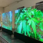 Transparent Screens Available Options and Use Cases