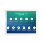 IPS vs TN – How to Choose the Right Display Technology?