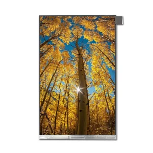 MIPI-IPS-LCD MIPI-IPS-LCD