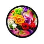 Round TFT LCD Displays — The Future of Circular Screen Innovation