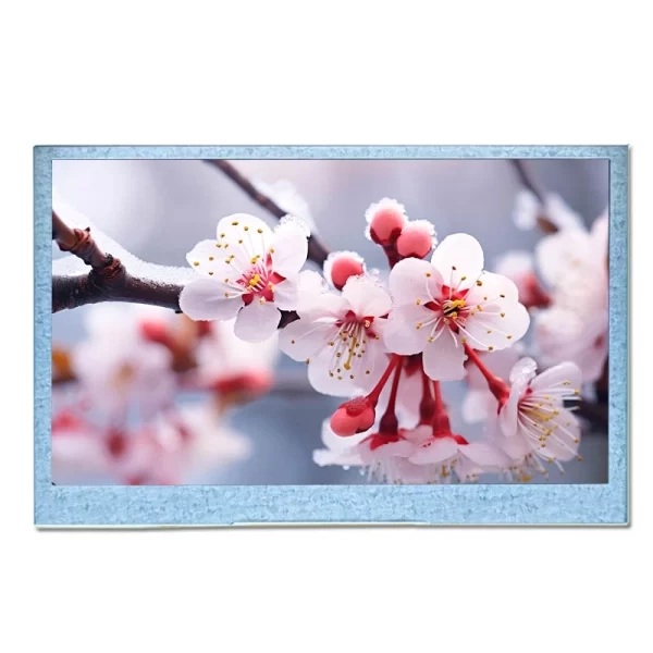 4.3 inch TFT LCD module for industrial display applications